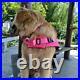 Pet Dog Life Jacket Swimming Suit Safety Flotation Vest Swimsuit Rose Red M